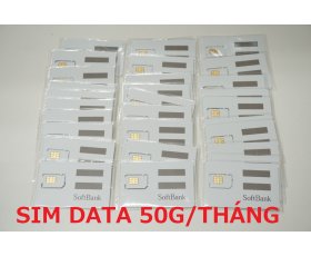 SIM DATA SOFTBANK BÁN ĐỨT 1 Năm ( 12 Tháng ) Dung lương 50G Tốc độ cao 1 tháng Sài từ đầu tháng 8/2023 đến Cuối Tháng 7/2024.