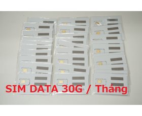 SIM DATA SOFTBANK BÁN ĐỨT 1 Năm ( 12 Tháng ) Dung lương 30G Tốc độ cao 1 tháng Sài từ đầu tháng 5/2023 đến Cuối Tháng 4/2024.